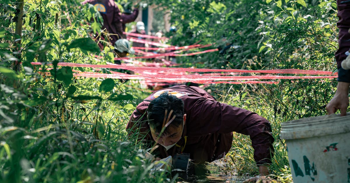 Best Practices for Training Teams on Agile Management Software