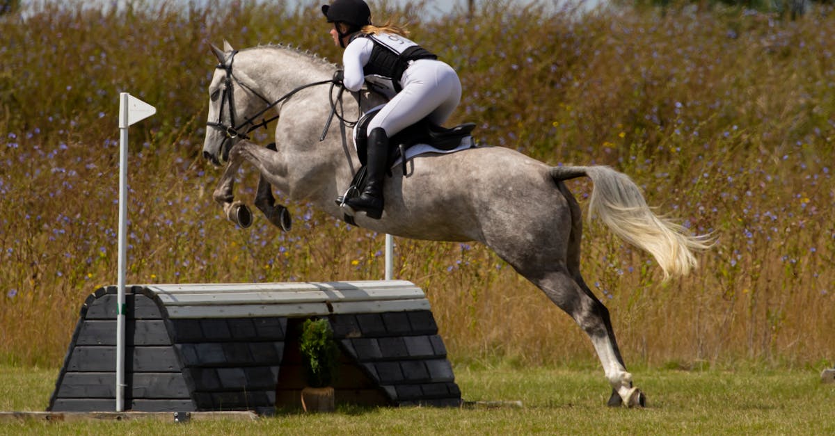 Encouraging Innovation through Team Autonomy