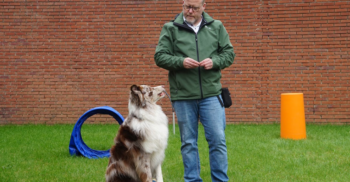 Enhancing Collaboration with Agile Project Management Software