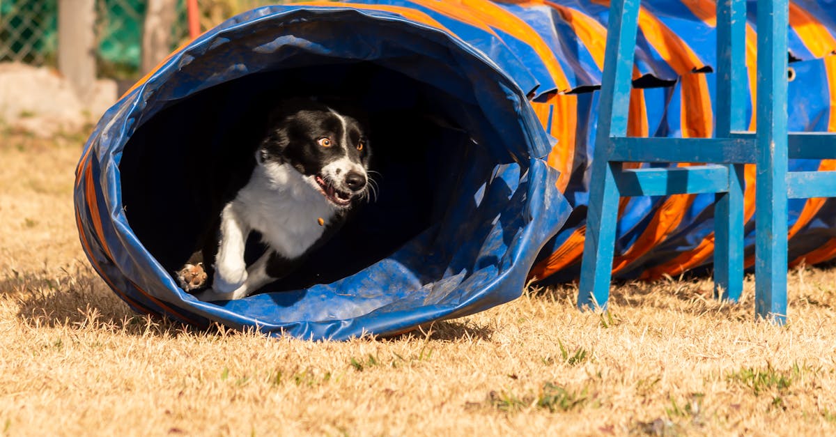 Evaluating the Impact of Collaboration Tools on Team Dynamics