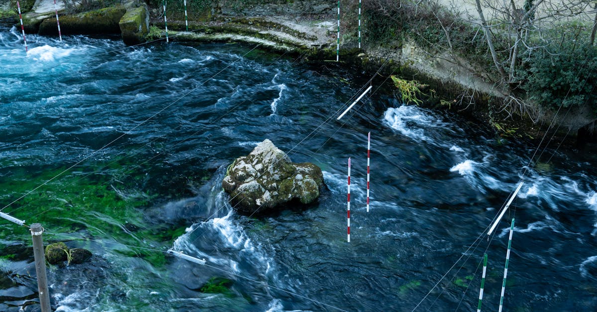 Integrating Agile Management Software with Existing Systems