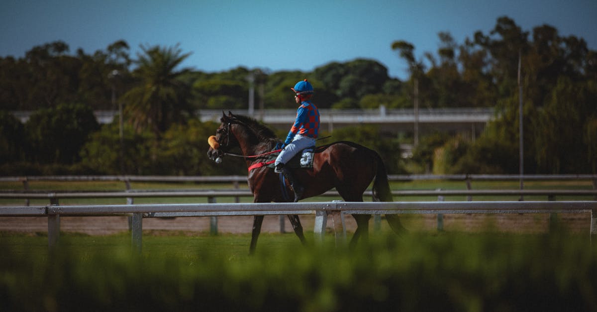 Integrating User Stories into Iterative Development Cycles