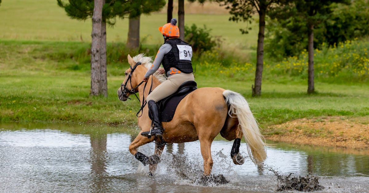 Leveraging Burnup and Burndown Charts for Agile Success