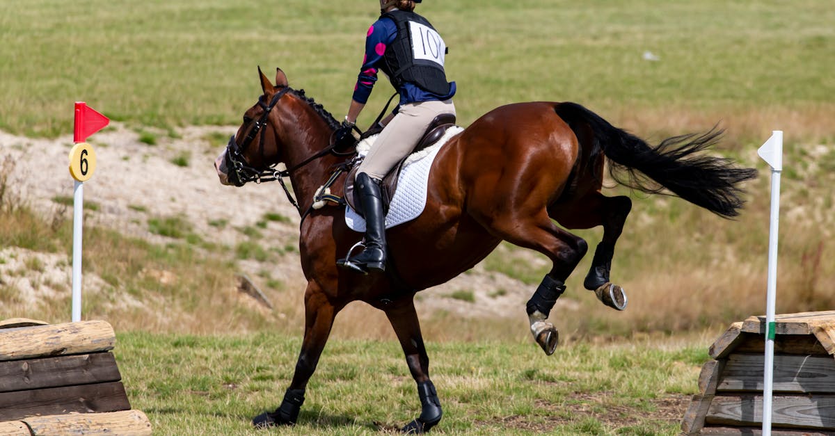 Measuring Success in Feature-Driven Development Projects