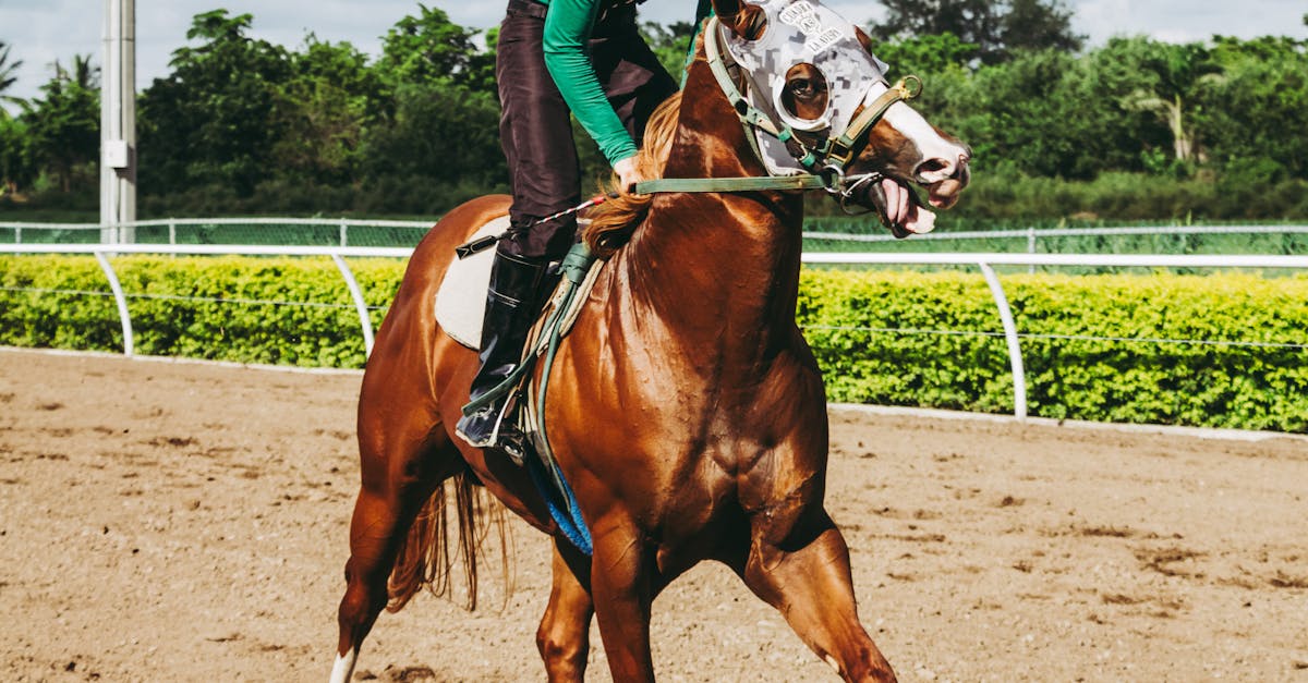 Metrics for Measuring Lean Development Success