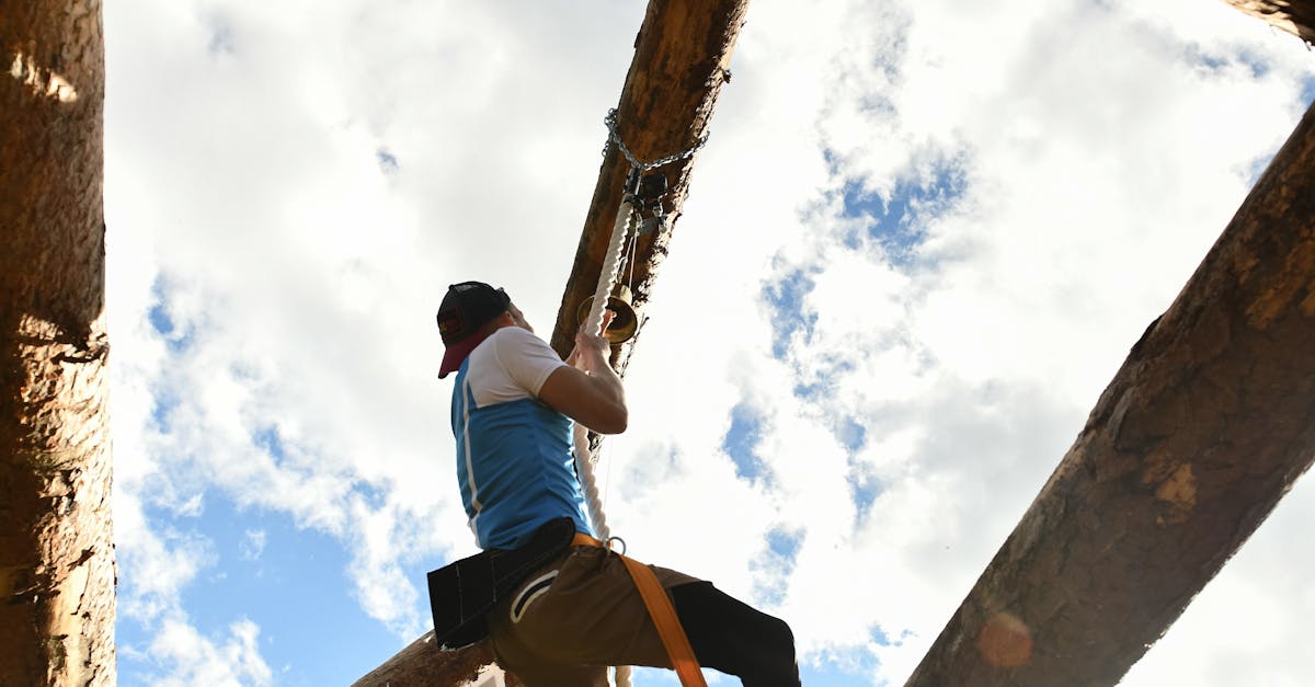 Optimising Document Sharing among Agile Team Members