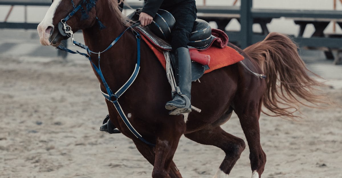 The Role of Test-Driven Development in Extreme Programming